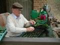 Seedling pricking out Fred